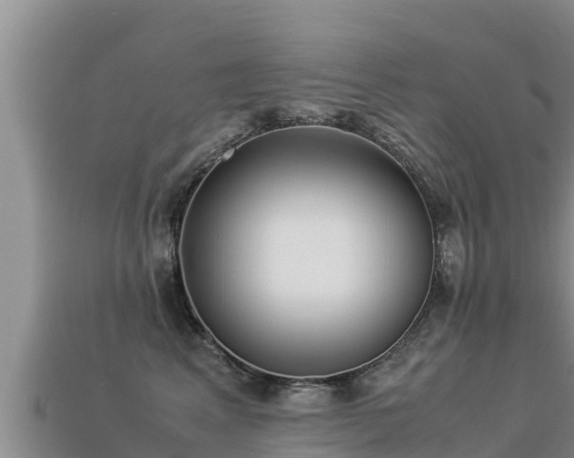 X0000113220617200909171556