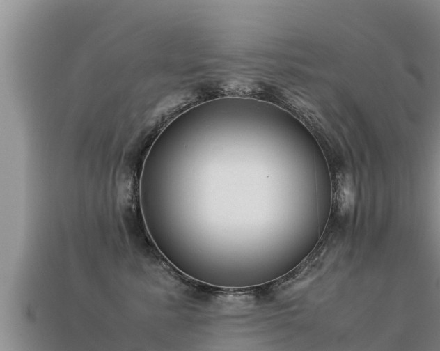 X0000113220619200909171556