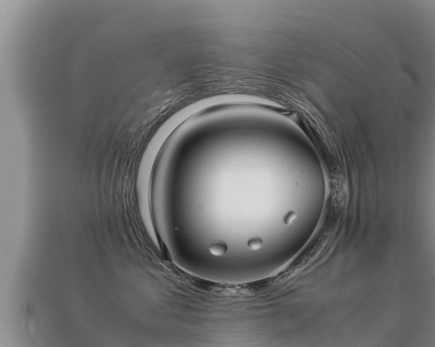 X0000113220621200909171556