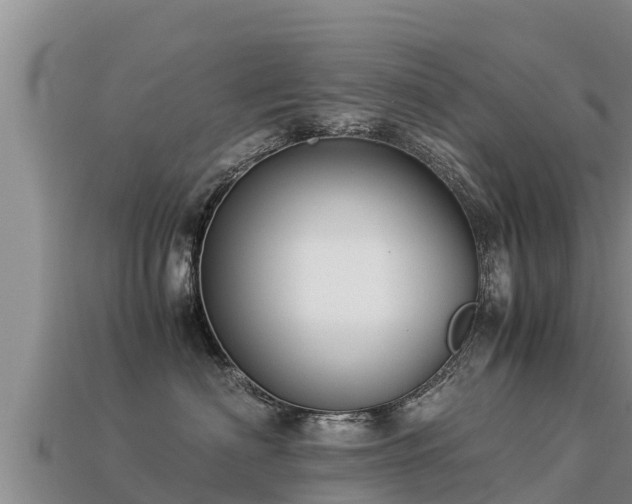 X0000113220622200909171556