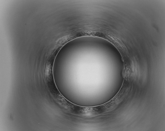 X0000113220623200909171556