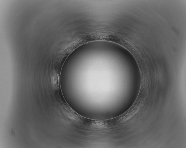 X0000113220624200909171556