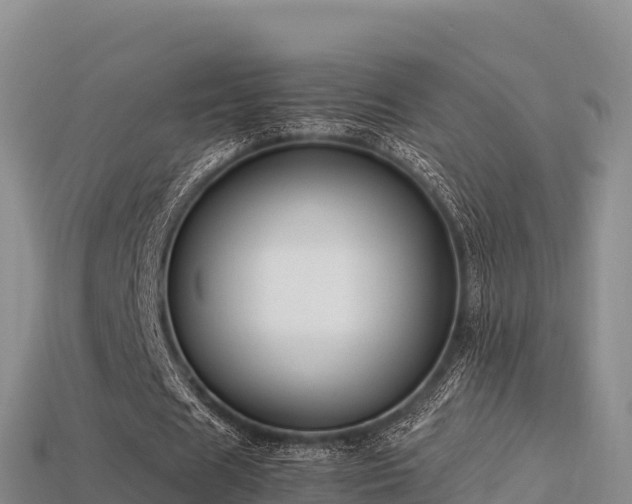 X0000113220625200909171555