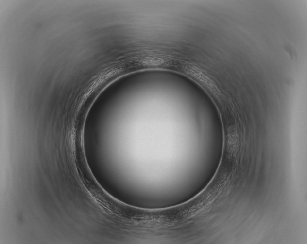 X0000113220626200909171555