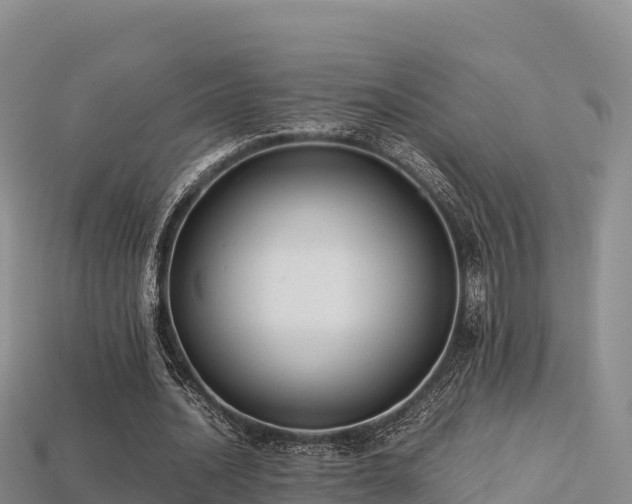 X0000113220628200909171555