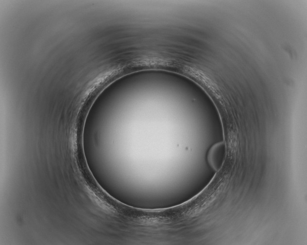 X0000113220629200909171555