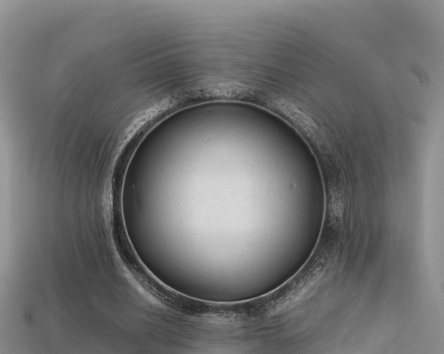 X0000113220630200909171555