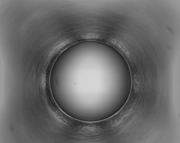 X0000113220631200909171555