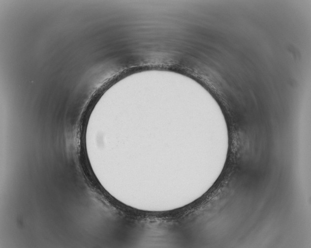 X0000113220632200909171555