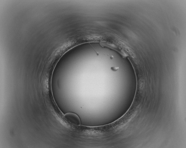 X0000113220633200909171555