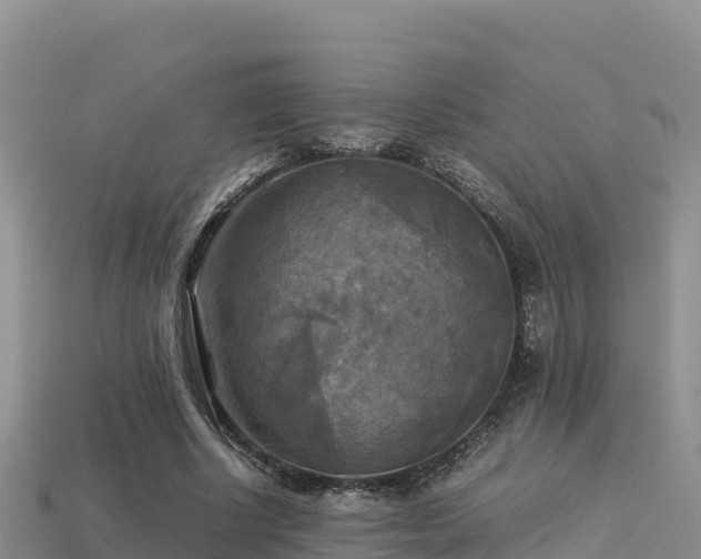 X0000113220634200909171555