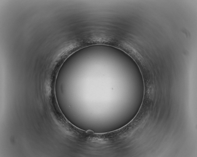 X0000113220635200909171555