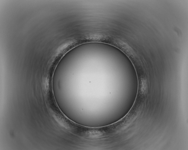 X0000113220636200909171555