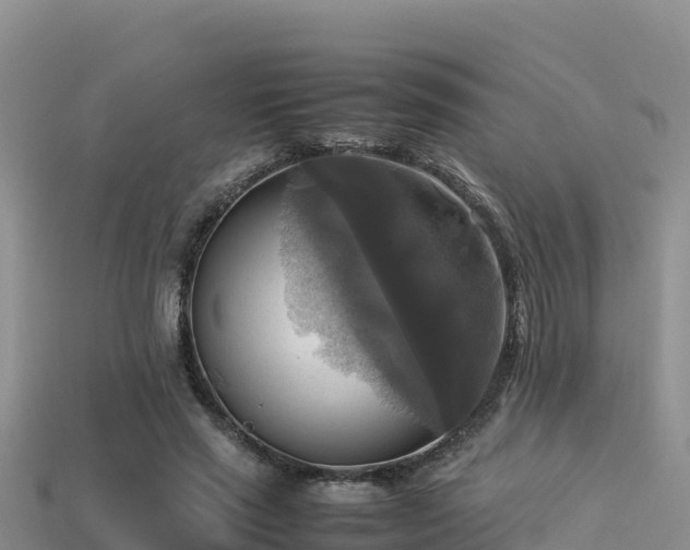 X0000113220637200909171555