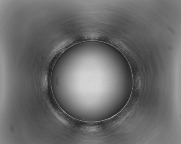 X0000113220638200909171555