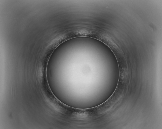 X0000113220639200909171555