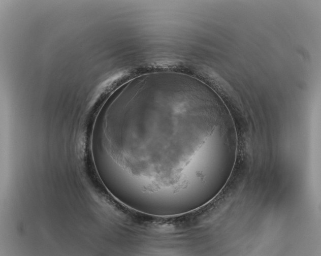 X0000113220640200909171555