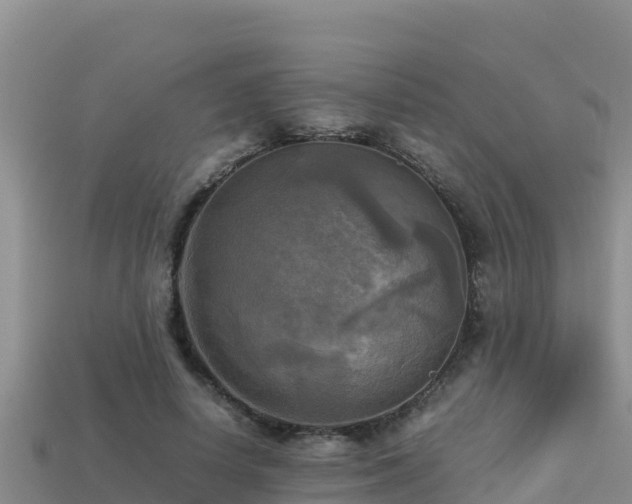 X0000113220642200909171555