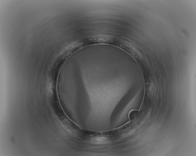 X0000113220643200909171556