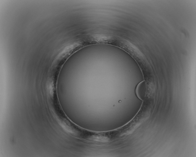 X0000113220644200909171556