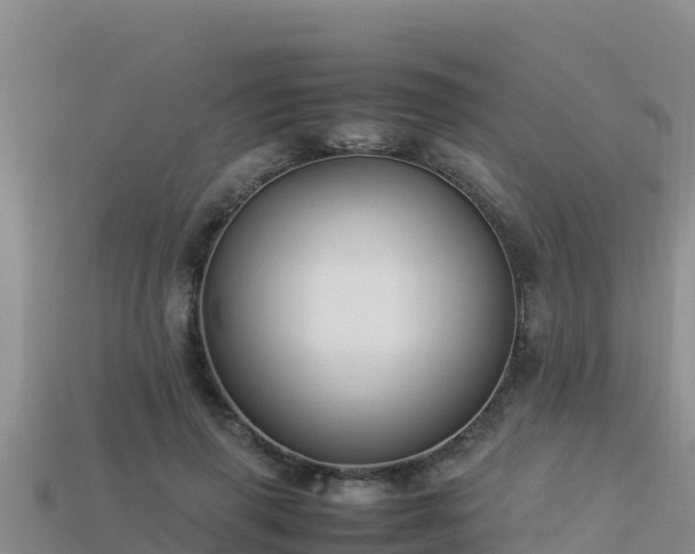 X0000113220645200909171556