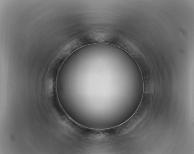 X0000113220646200909171556