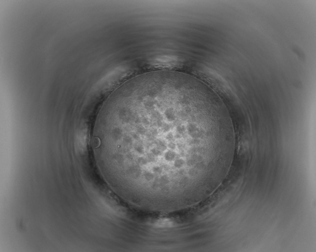 X0000113220647200909171556