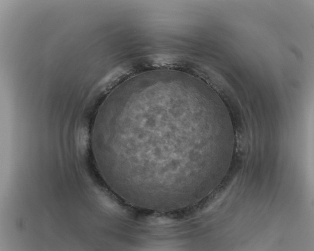 X0000113220648200909171556