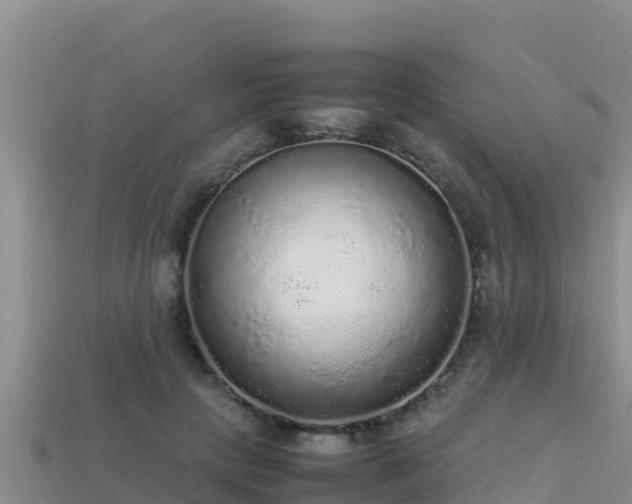 X0000113220649200909171556