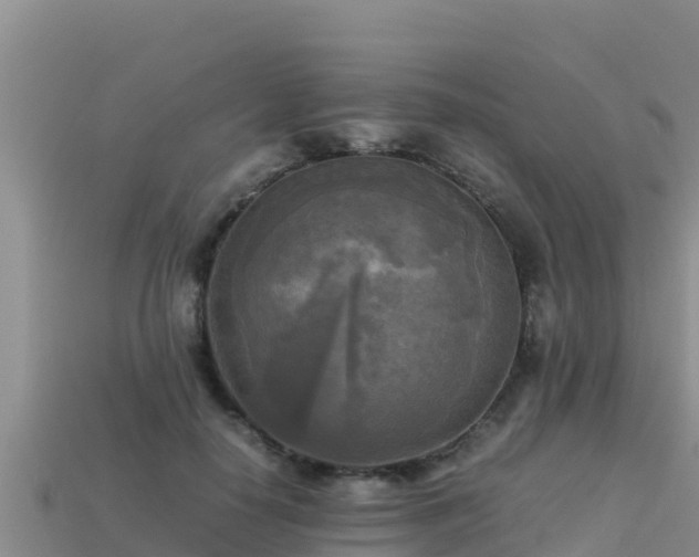 X0000113220650200909171556