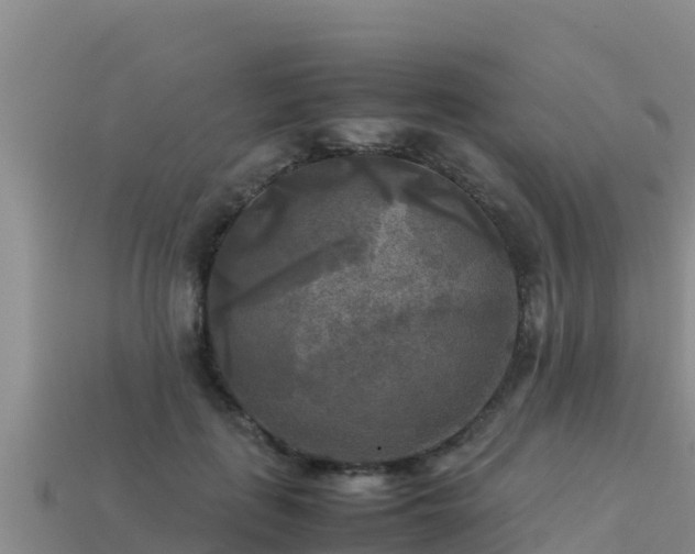 X0000113220651200909171556