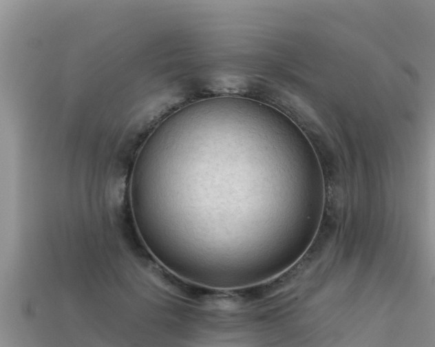 X0000113220652200909171556