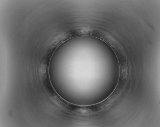 X0000113220654200909171556