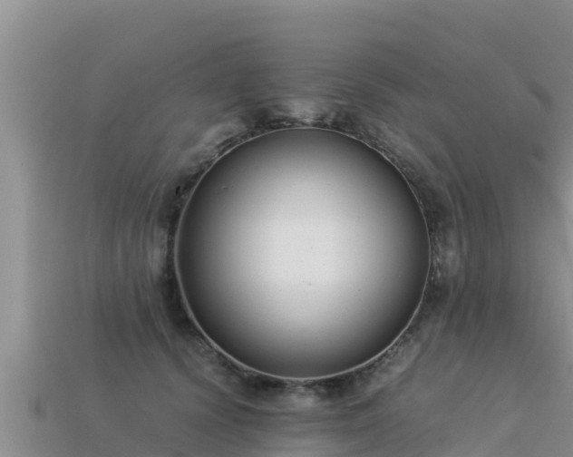 X0000113220656200909171556