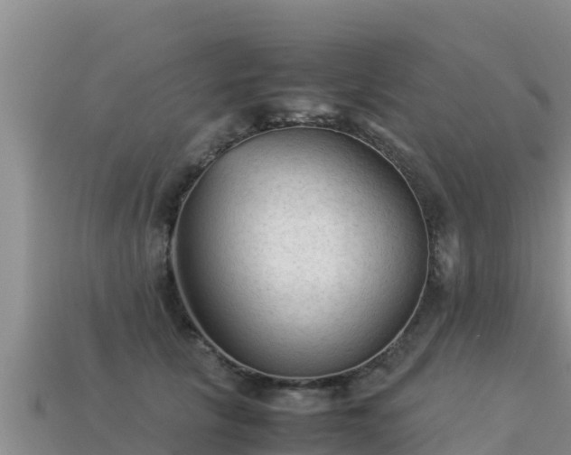 X0000113220657200909171556