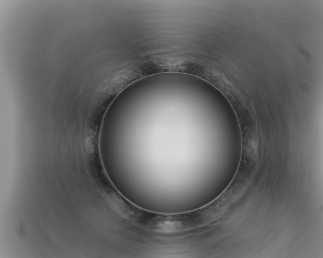 X0000113220658200909171556