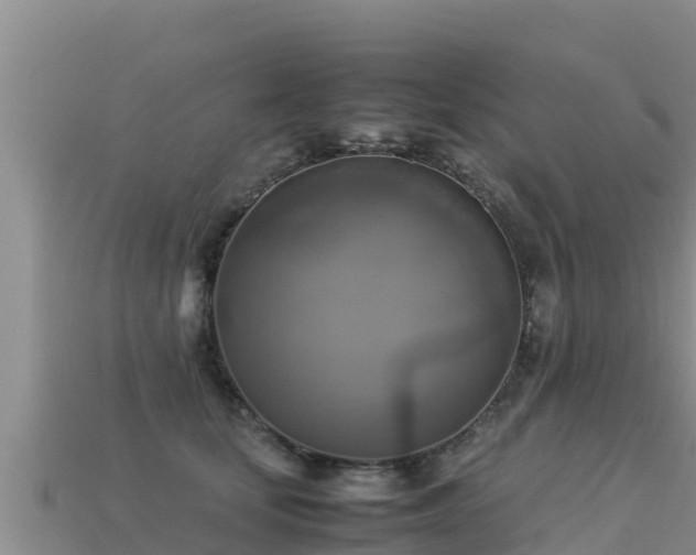 X0000113220659200909171556