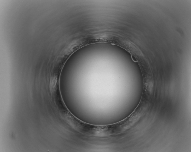 X0000113220660200909171556