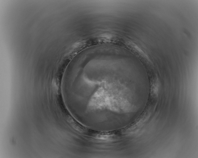 X0000113220661200909171556