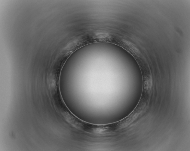 X0000113220662200909171556