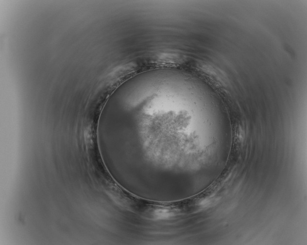 X0000113220663200909171556