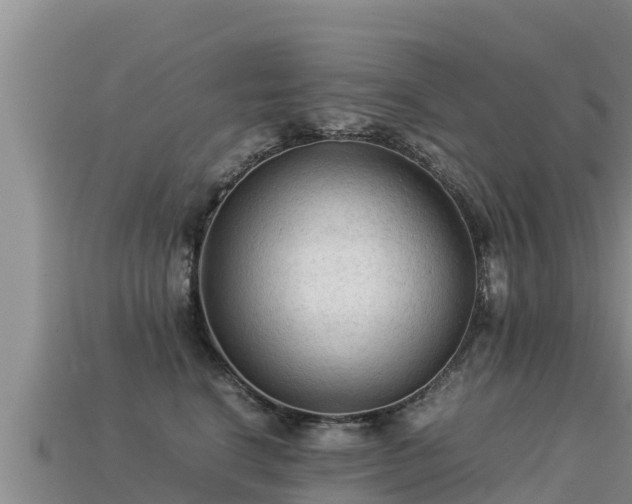 X0000113220664200909171556