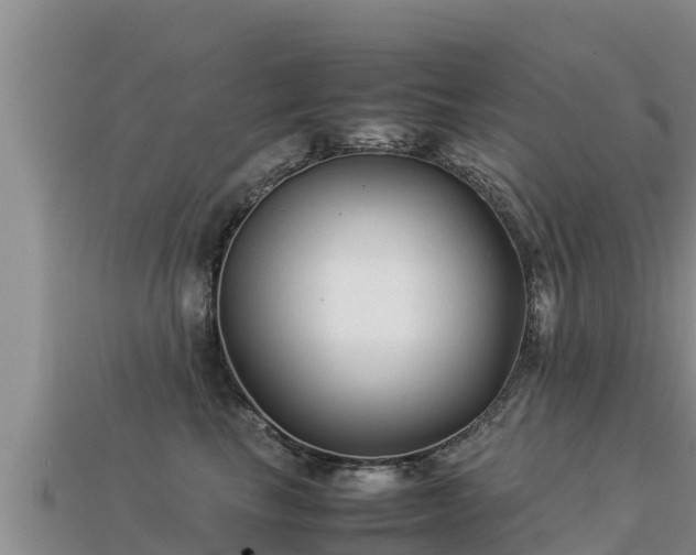 X0000113220665200909171556