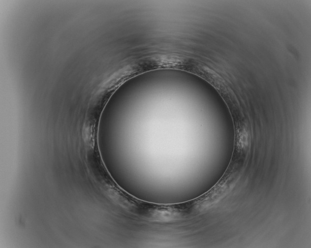 X0000113220666200909171556