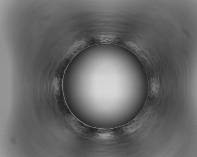 X0000113220667200909171556