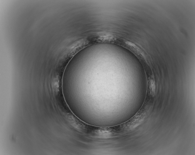 X0000113220668200909171556