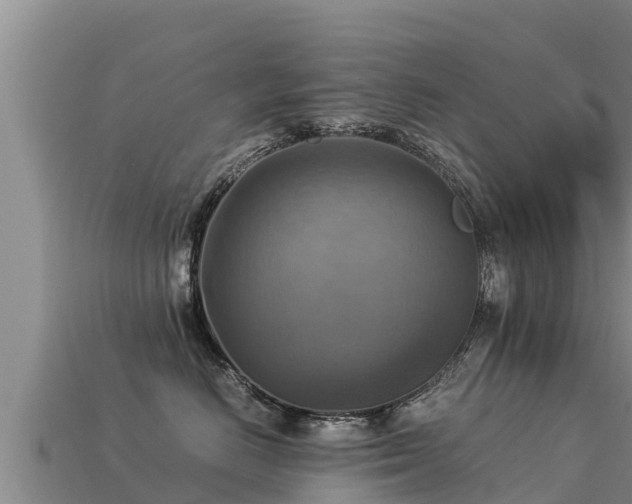 X0000113220670200909171556