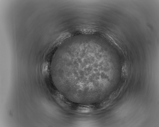 X0000113220671200909171556