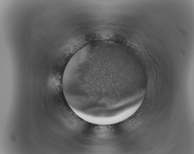 X0000113220672200909171556