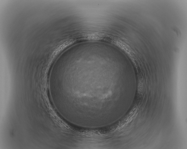 X0000113220673200909171555